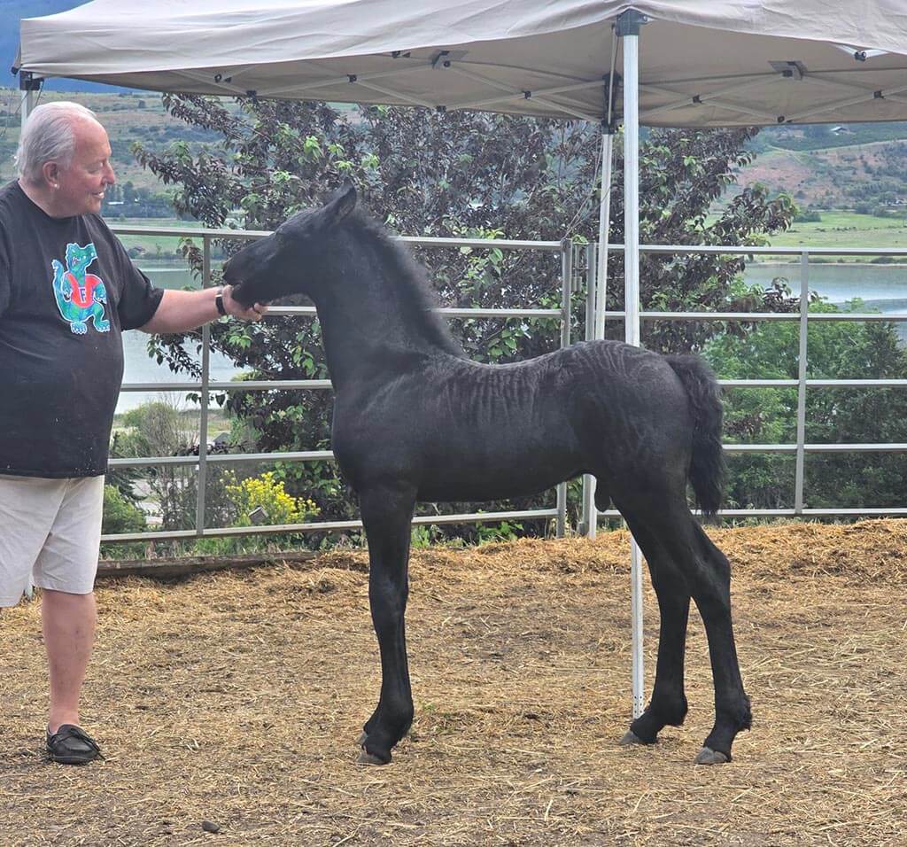 Endymion Farms Vernon BC Zeus next to tent
